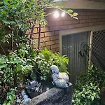 The Singing Frogs Studio