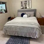The Singing Frogs Studio
