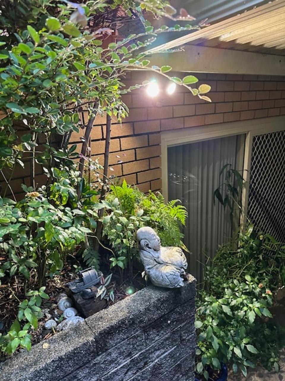 The Singing Frogs Apartment