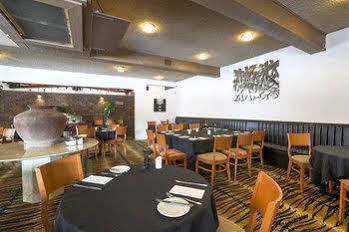 Zebra Coffs Harbour