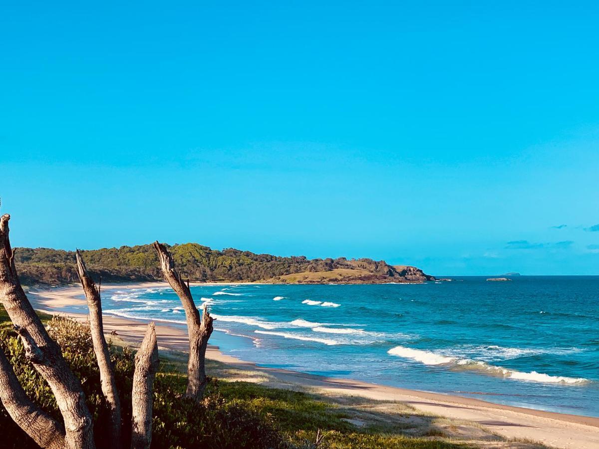 Surf Coffs 4* Coffs Harbour