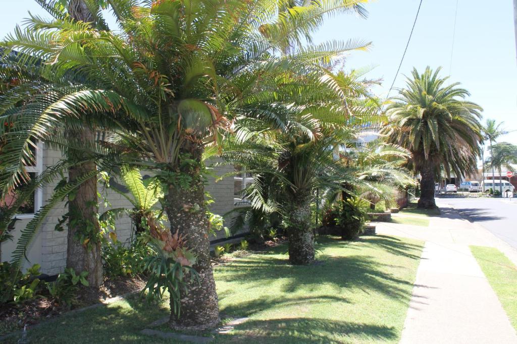 Hotel Hawaiian Sands Motor