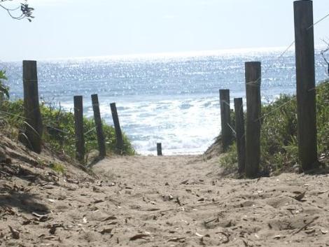 Motel Surf Coffs 4*